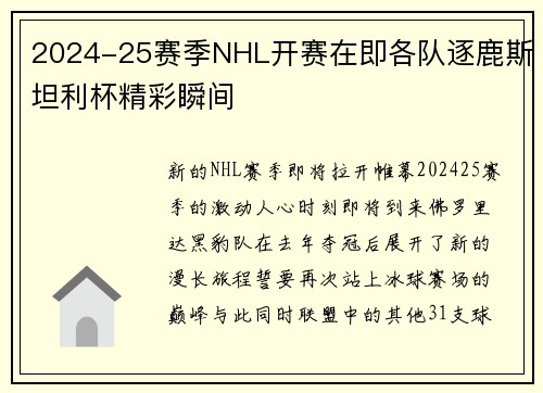 2024-25赛季NHL开赛在即各队逐鹿斯坦利杯精彩瞬间